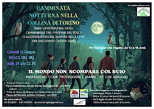 Camminata notturna nella collina di Torino